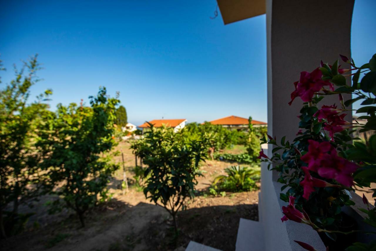 파르겔리아 Michelino House B&B 외부 사진